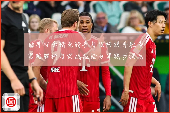 世界杯竞猜竞猜参与技巧提升胜率思路解析与实战经验分享稳步提高数据研判-深度解析