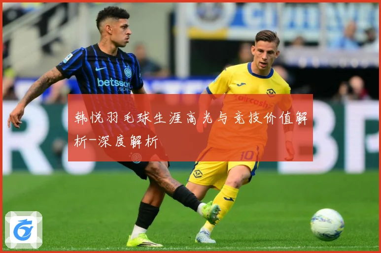 韩悦羽毛球生涯高光与竞技价值解析-深度解析