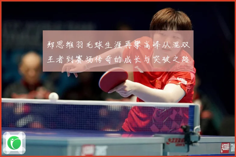 郑思维羽毛球生涯再攀高峰从混双王者到赛场传奇的成长与突破之路-深度解析