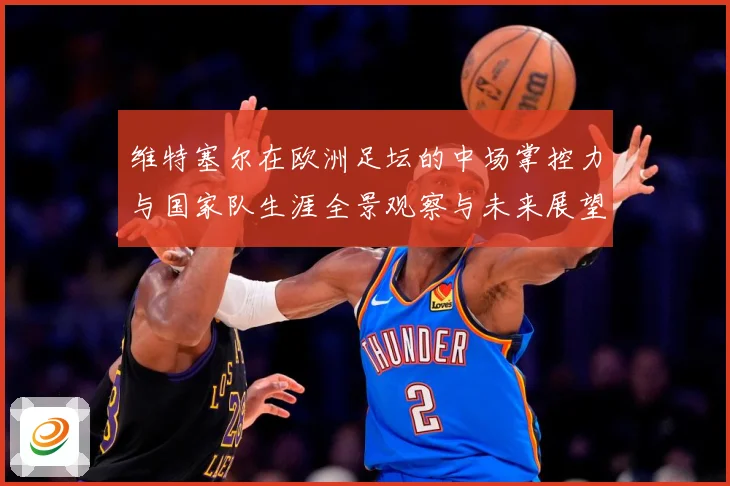维特塞尔在欧洲足坛的中场掌控力与国家队生涯全景观察与未来展望-深度解析