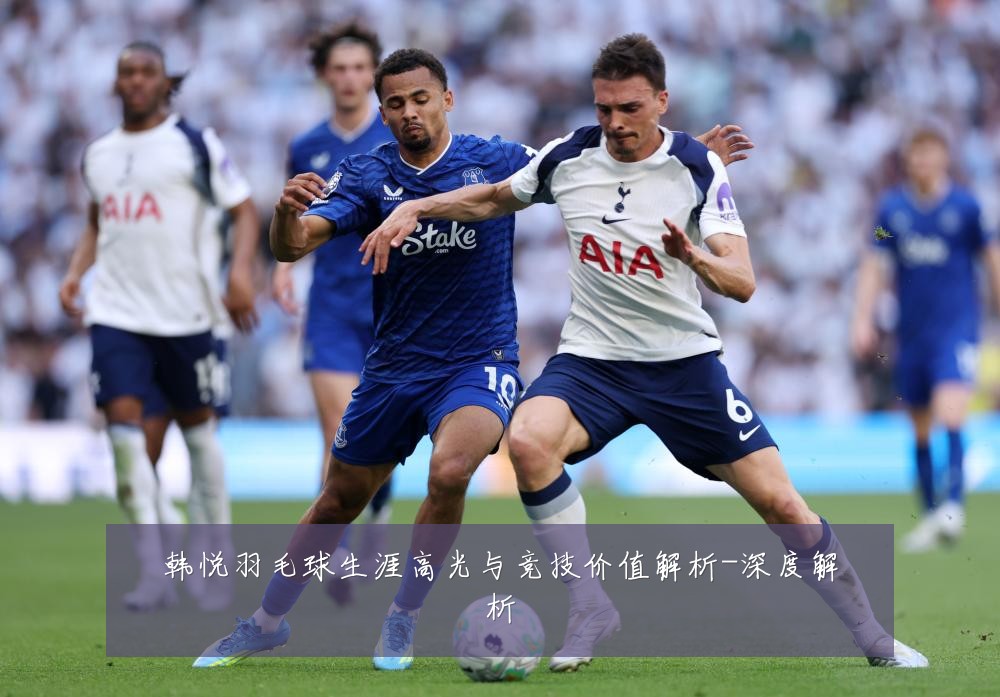 韩悦羽毛球生涯高光与竞技价值解析-深度解析